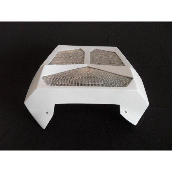 Harley Davidson V-Rod Vrod VRSC Custom Radiator Cover - Image 5